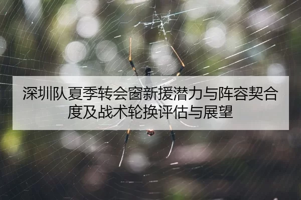 深圳队夏季转会窗新援潜力与阵容契合度及战术轮换评估与展望