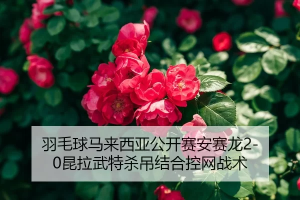 羽毛球马来西亚公开赛安赛龙2-0昆拉武特杀吊结合控网战术
